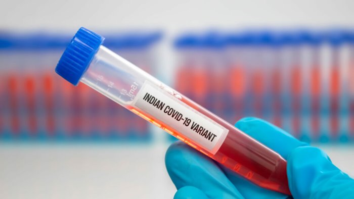 bracigliano covid free l annuncio del sindaco