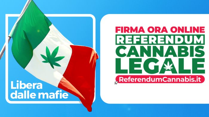 referendum cannabis legale ad avellino il presidente nazionale di piu europa