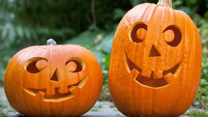 baronissi zucche in festa in villa comunale attivita per famiglie e bambini