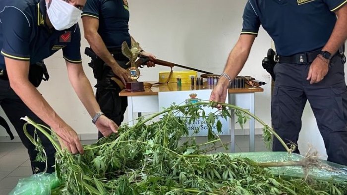 sarno i finanzieri scoprono una maxi piantagione di cannabis