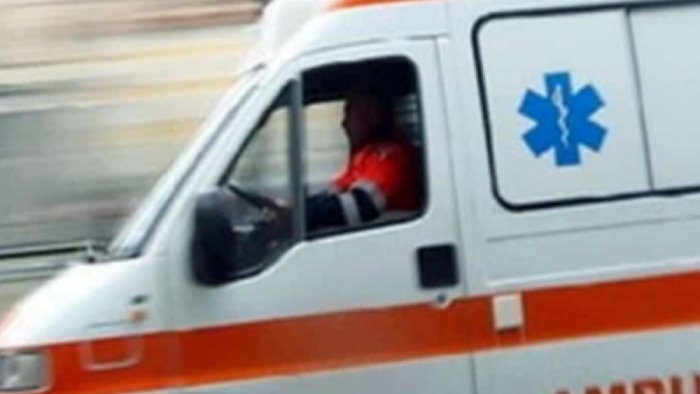 vanno raccogliere castagne e trovano resti umani choc in irpinia