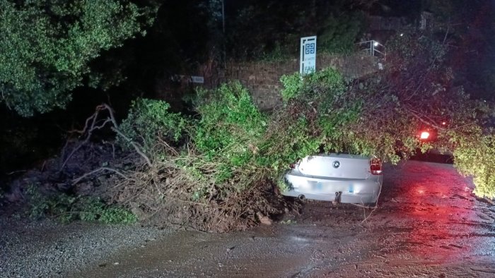 auto travolta da un albero due persone salvate nel cilento dalla polizia locale