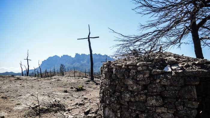 altavilla irpina incendiano foglie nel terreno coppia denunciata