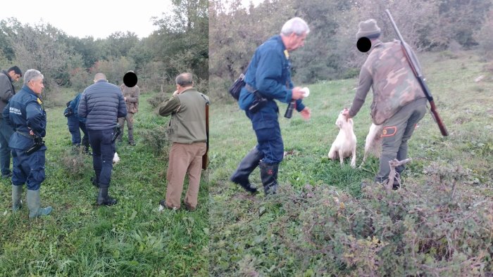 controlli su caccia e bracconaggio salvato cane intrappolato in un cappio