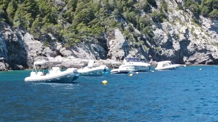 massa lubrense un successo il campo ormeggio che salva la posidonia