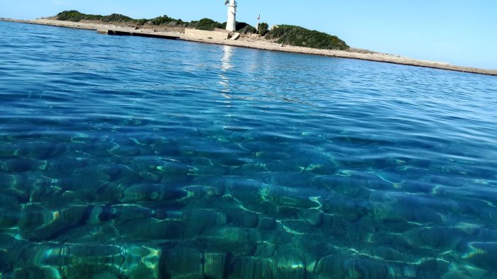 castellabate tutti in acqua per fotografando in sup