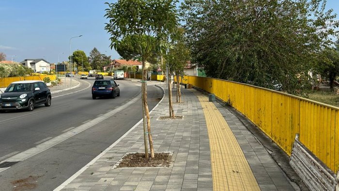 eboli diventa piu verde grazie alla piantumazione di 250 nuovi alberi