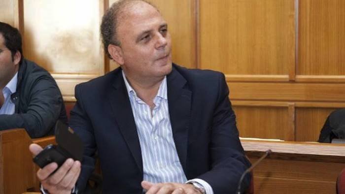 manifestazioni e circhi con animali ambrosone incontra le associazioni