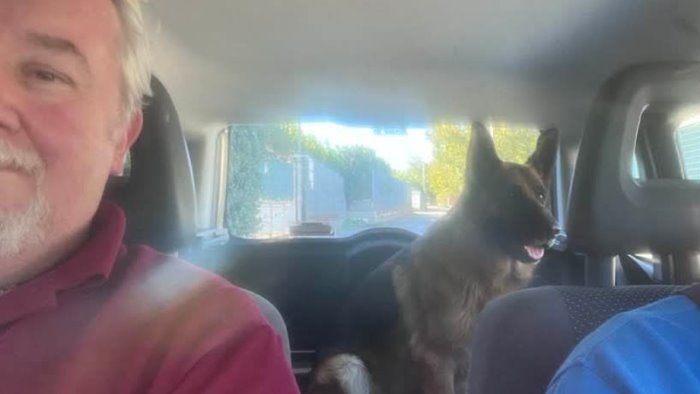 dopo 8 giorni yari torna a casa era a torre del greco merito del microchip