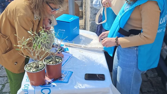 campagna nazionale ulivo nel sannio 900 piantine per i diritti dell infanzia