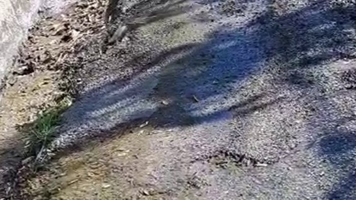 ariano condotta di nuovo rotta a cariello e acqua a go go lungo la strada