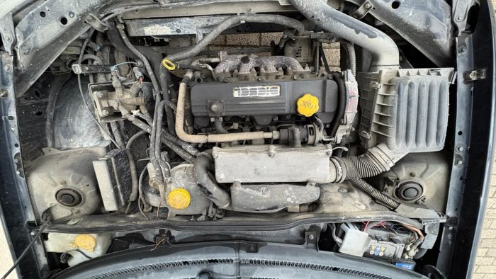 gatti nei motori delle auto con il maltempo enpa lancia l allarme