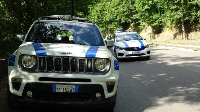 sterilizzazione dei cani padronali ad ariano piano in vigore ecco come fare