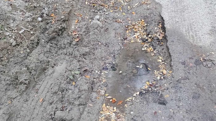 ariano casavetere cinghiali a volonta e acqua che si spreca a non finire