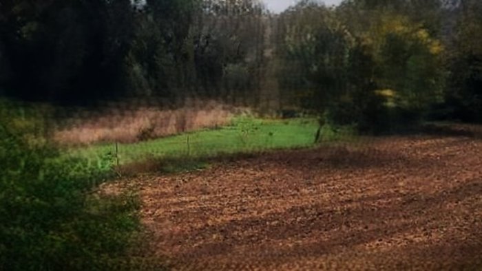 caporalato cia servono trasporti e alloggi dignitosi per i lavoratori