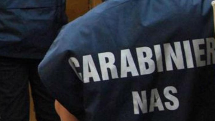 nas in azione a napoli sequestrati 21 chili di alimenti