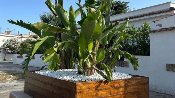 cellole interventi di valorizzazione per la localita di baia felice