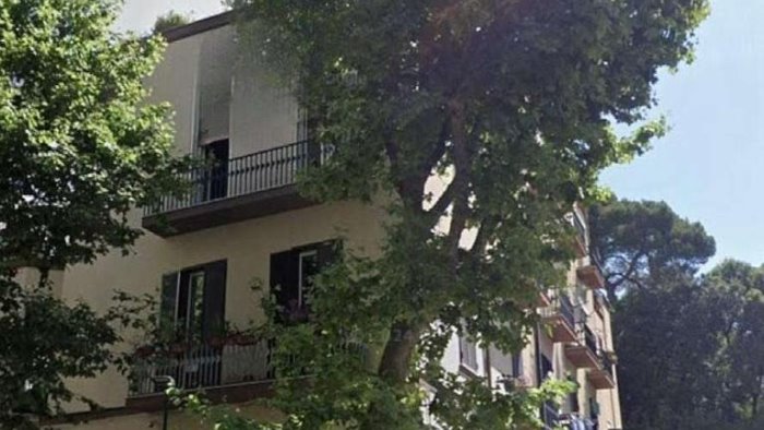 crolla un altro albero a napoli ennesima tragedia sfiorata