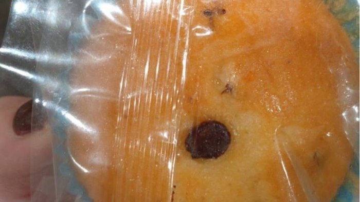 insetti nelle merendine della mensa scolastica interviene l assessore sica