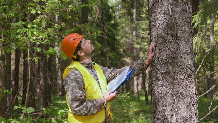 forestazione i sindacati chiedono tavolo al prefetto