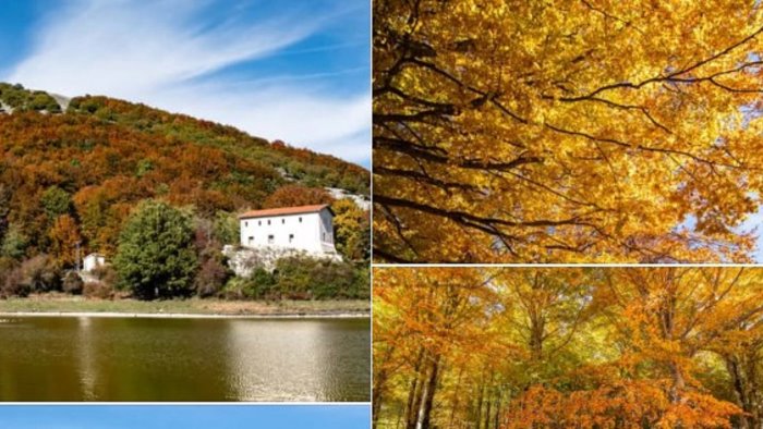 esplode l autunno sul laceno lo spettacolo e mozzafiato