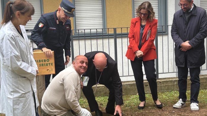un albero per la salute donato ficus di falcone all ospedale di ariano