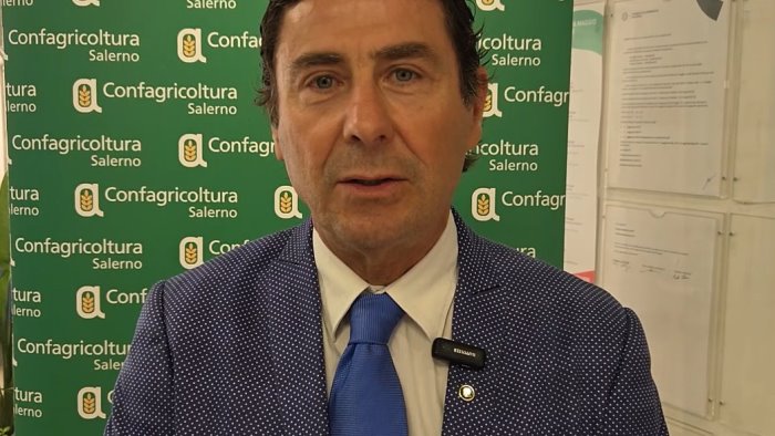 confagricoltura salerno sos al governo servono scelte coraggiose