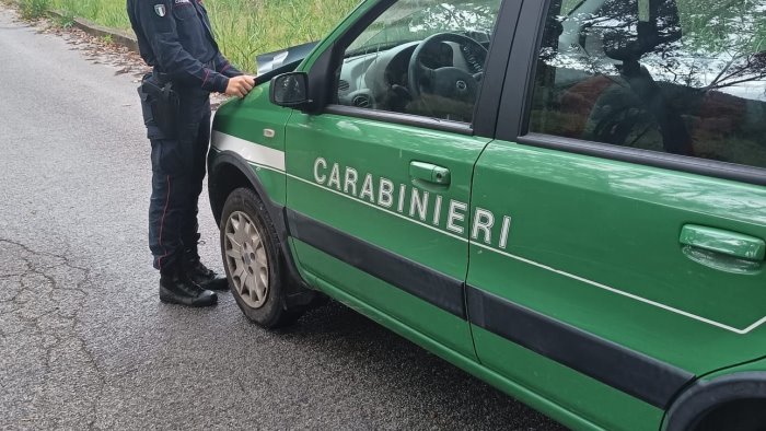 lottizzazione abusiva nel parco del cilento a castellabate scatta il sequestro