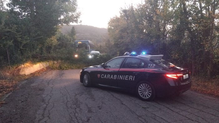 greci raffiche di vento crolla albero sulla provinciale carabinieri sul posto
