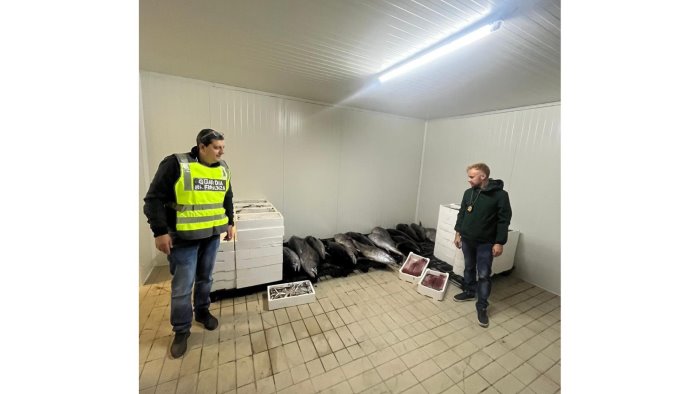 blitz al mercato ittico sequestrata una tonnella di pesce senza tracciabilita