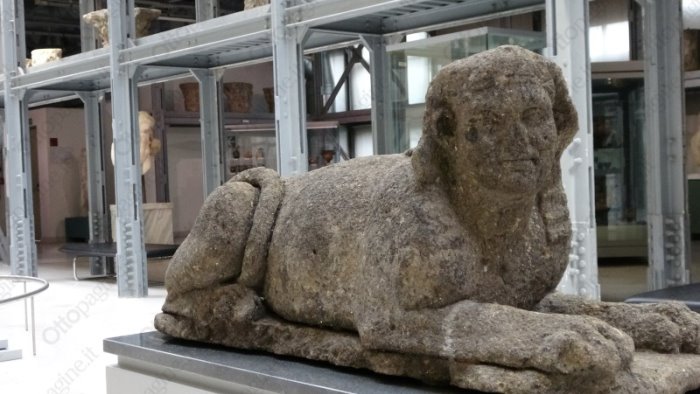 museo egizio ministero a dicembre il progetto al comitato interistituzionale