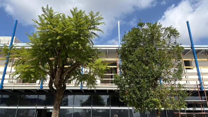 lavoro strage continua precipita in un cantiere muore titolare di una ditta