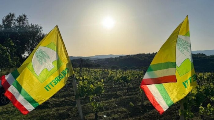 coldiretti la salute passa anche attraverso la sana alimentazione