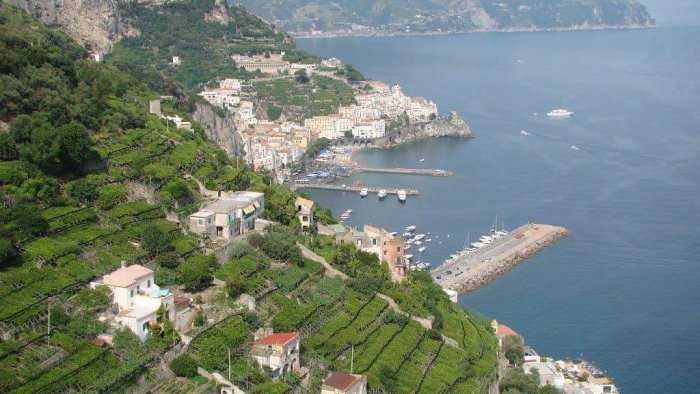 limoni e terrazzamenti di amalfi patrimonio agricolo di importanza mondiale