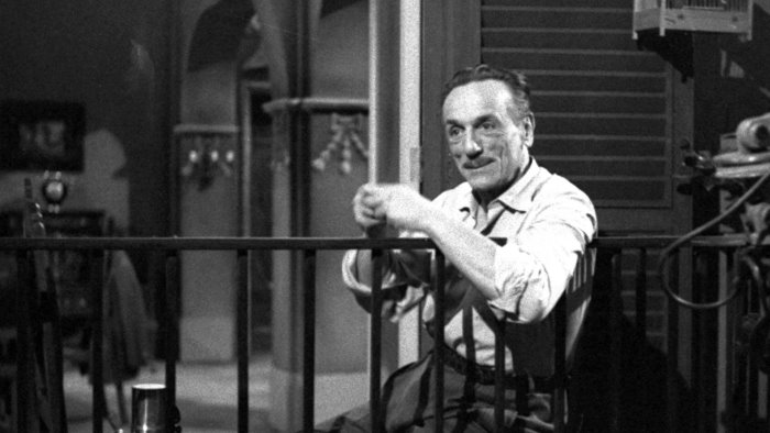 cuccumella moka french press o cialde il segreto felice del buon caffe