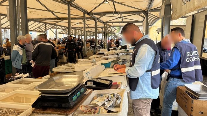 controlli al mercato a salerno sequestrati oltre un quintale di prodotti ittici