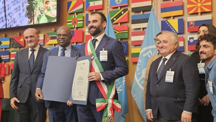 limoni e i terrazzamenti di amalfi patrimonio dell umanita per l agricoltura
