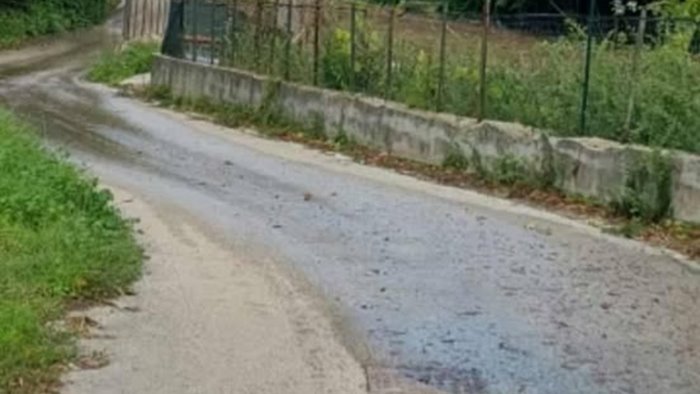 uniamoci per l acqua disagi ovunque alto calore non informa ci pensiamo noi