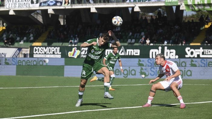 ecco come l avellino vivra la seconda pausa nazionali