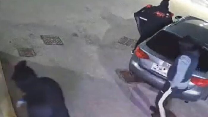 monteforte irpino la banda del flex colpisce nella notte