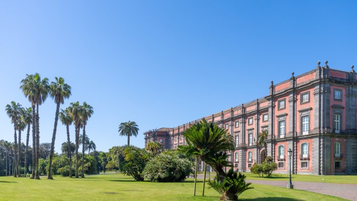 bosco in rosa torna a capodimonte tra sport e solidarieta