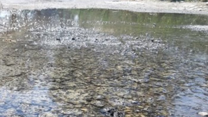 frigento perdita d acqua da cinque giorni e nessuno interviene