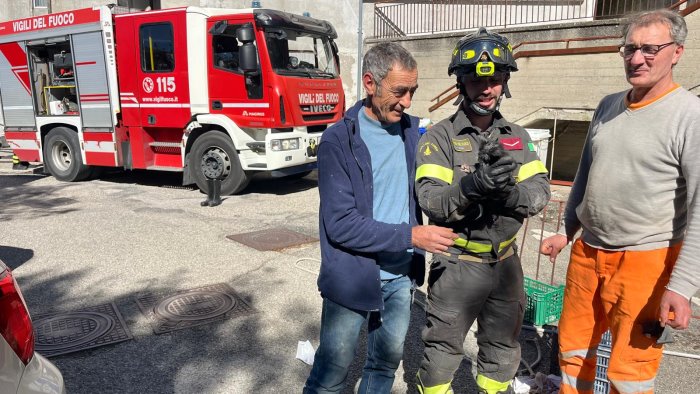 gattino sfugge alla mamma e finisce in un pozzetto salvataggio emozionante