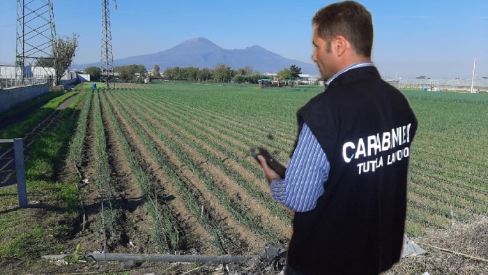 caporalato in un azienda agricola di scafati due denunce