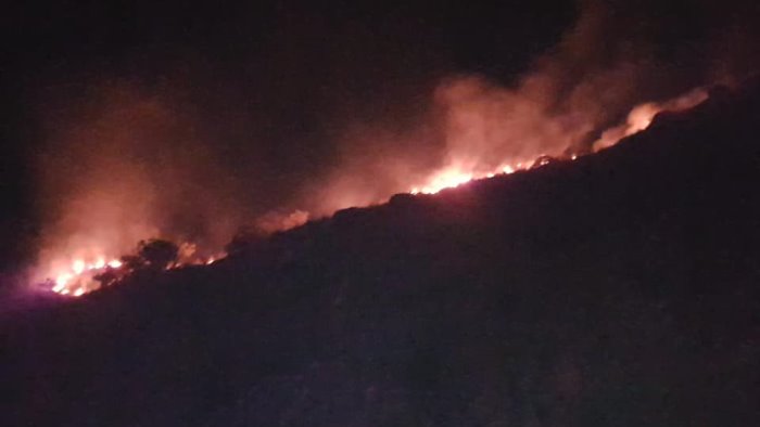 incendio in cilento brucia la collina sulla mingardina