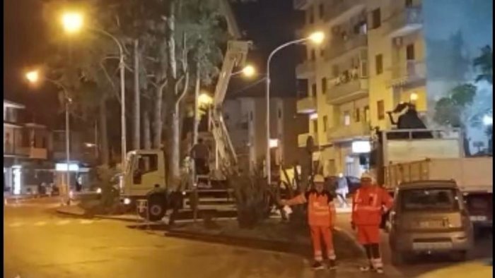 polemiche su potature alberi a san marzano sul sarno il sindaco fa chiarezza