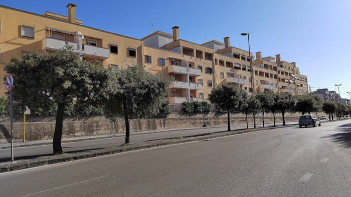 alberi pericolosi su viale della liberta a battipaglia saranno presto abbattuti