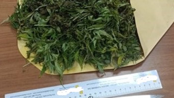 accoltella il padre dopo un litigio arrestata 40enne di nocera superiore