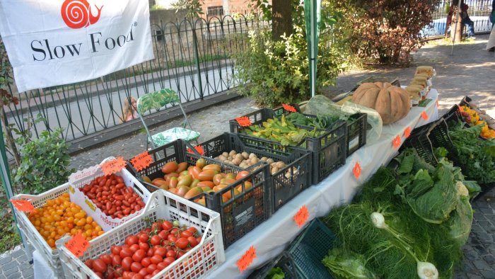 a nola arriva il mercato della terra di slow food ogni terza domenica del mese
