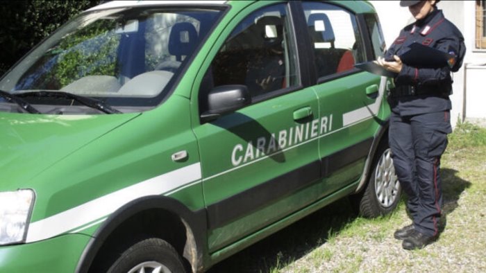 abusi edilizi a castellabate in azione i carabinieri forestali